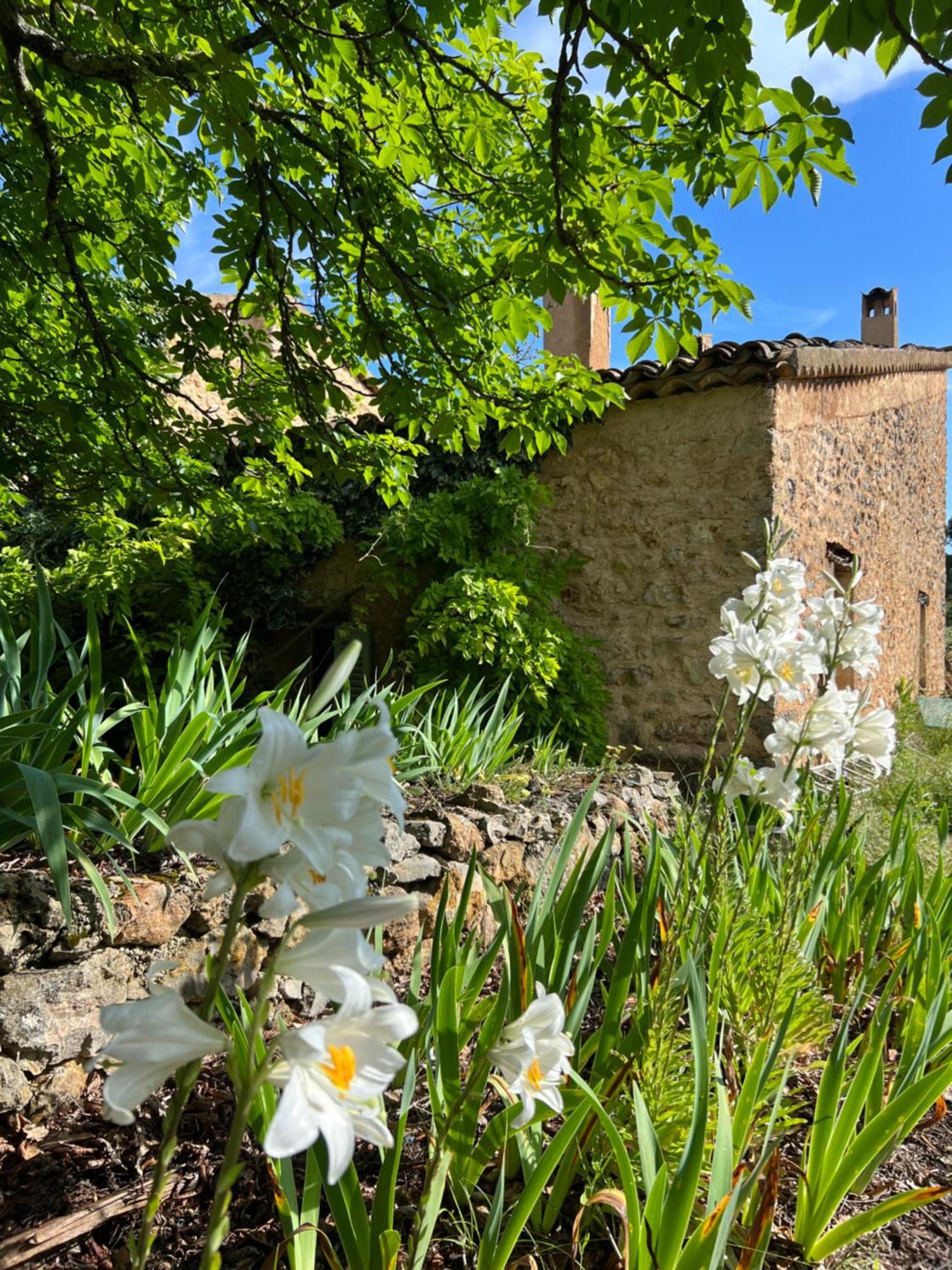 Charmant Appartement Independant Au Sein D'Un Mas Provencal Aups Dış mekan fotoğraf