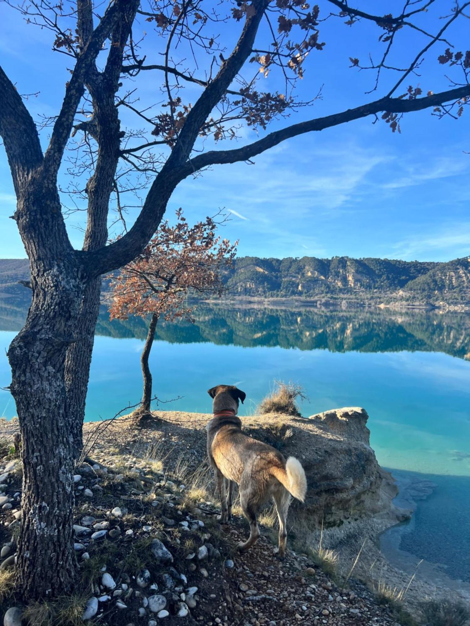 Charmant Appartement Independant Au Sein D'Un Mas Provencal Aups Dış mekan fotoğraf